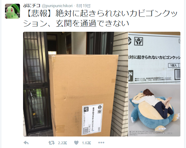 日本網友網購卡比獸，沒想到卻「悲劇」了。（圖／擷取自網友推特）