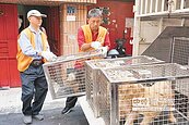7毛孩遭虐　動保團體破門搶救