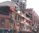 狗狗養在頂樓露台...翻牆不慎墜樓亡　飼主未設安全防護挨罰1萬5