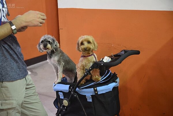 (示意圖/好房網News記者 陳韋帆/攝影)