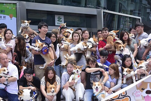 許多台灣家庭寧可養寵物也不願生小孩。(好房網News記者 陳韋帆/攝影)