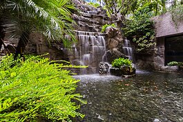 後庭院則有大手筆規劃的假山飛瀑造景。