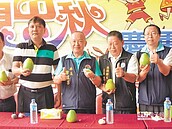 「柚」見中秋　苗栗西湖文旦飄香