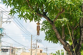 竹風鈴隨著微風輕輕地搖曳，十分具有悠閒氛圍。