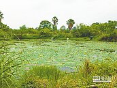 發展綠觀光　市府再催生4地