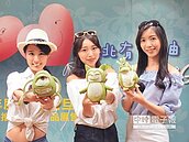 八里文旦柚　變身超夯寶可夢