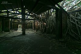 在沒有陽光的時候，整個樹屋內略顯陰森。