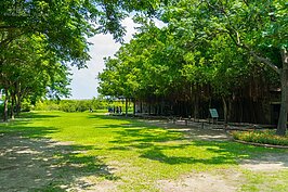 走入安平樹屋，迎面而來的是大片的綠地與樹蔭。在南台灣八月天中有著難得的清涼。