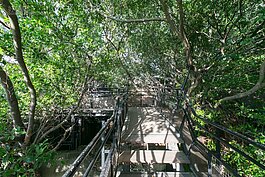 安平樹屋天空步道一景。