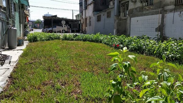 新北市政府綠家園專案將報廢的舊宿舍改建為小花園。（圖／新北市政府城鄉局提供）