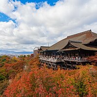 白天夜晚都精彩，清水寺夠你玩一天