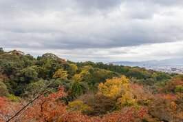 只要天氣良好，站在清水寺周邊的平台就可遠望京都市區風景，若空氣透明度更好的時候，甚至還可看到京都車站前的京都塔。