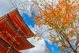 火紅色的五重塔在藍天與紅葉的襯托下也是十分值得留影的景點。