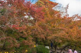 寺廟、紅葉、青潭與和服，充滿濃濃的日本傳統風情。