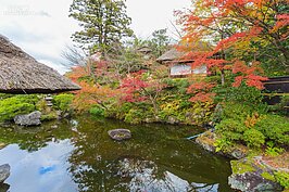 彎進一窄窄小路，柳暗花明的盡頭正是紅葉綠意滿盈。
