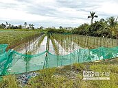 工業區不淹了　員工：區外淹怎回家