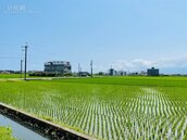 農地農用為何突收地價稅單？台南財稅局曝「一違規關鍵」害慘所有人