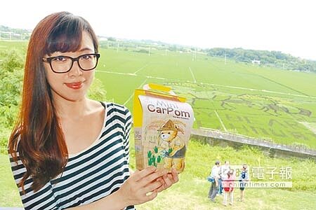 佳田社區關懷協會今年自籌經費,與社區、學校等人員下田描繪泰迪熊彩稻。(萬于甄攝)