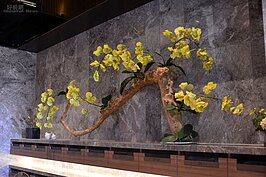 花木的設置讓心情更放鬆