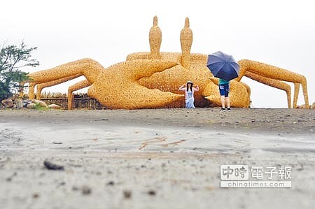 螃蟹耍藝術因應莫蘭蒂颱風來襲,桃園市若進入「陸上警報發布範圍」,桃園地景藝術節展區將不開放民眾參觀。(楊明峰攝)