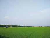 土地重劃期間使用　要稅