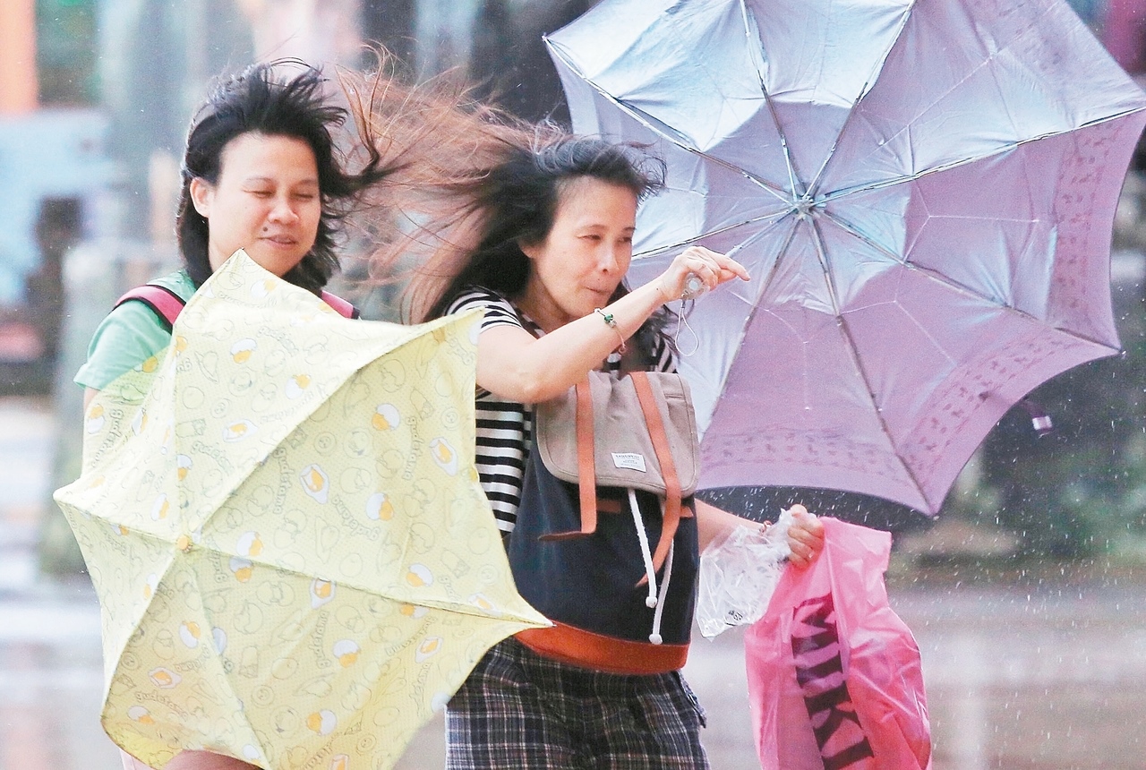 中颱馬勒卡逼進台灣，北市昨風雨漸強，民眾雨傘紛紛被強風吹得開花。 記者林伯東／攝影