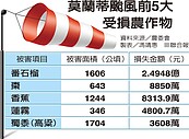 全台農損逾8億　颱後果價恐貴到明年