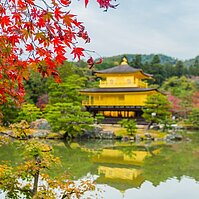 這！就是京都的秋