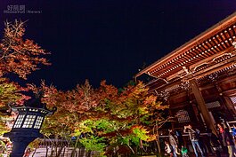 御影堂周邊的楓葉雖然未全紅，在精心規劃的夜燈照映下，一樣吸引了人潮前來欣賞。