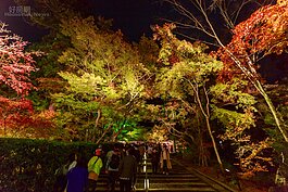 隨著遊客的腳步，經過龍吐水後，登高直上阿彌陀堂，階梯兩旁的夜楓也是值得駐足再駐足。