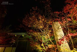 永觀堂南門一景。