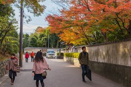 一早的東福寺周邊人來人往，上班、觀光客將這裡點綴得熱鬧非凡。