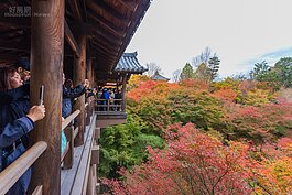 由通天橋往下看，滿滿的紅葉煞是震撼。