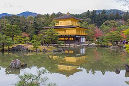 鹿苑寺又名金閣寺，興建於1397年，因寺內核心建築放著佛祖舍利的舍利殿，外牆都是由金箔貼面而成，因此被大家稱為金閣寺。相較之下，鹿苑寺的名稱在國外反而比較少人知道。