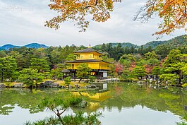 可惜來的時候樹葉尚未全部轉紅，但也有一番景緻。