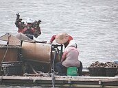 梅姬來遇大潮　漁民護船吊上岸