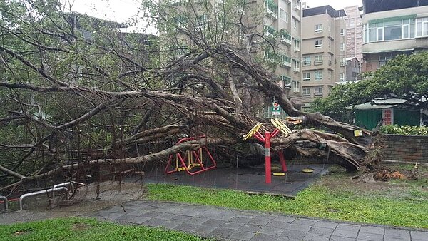 颱風梅姬恐帶來「沿山噴流」。(好房網News記者陳韋帆/攝影)