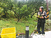 梅姬毀農作　農民：採收也血本無歸