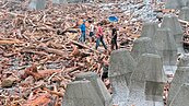 巨浪襲擊富岡海堤再崩落　漂流木堆岸邊