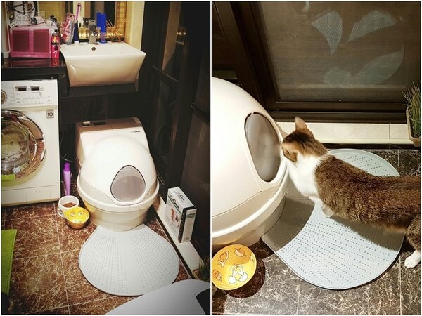 6.愛貓成癡的蔡小潔，甚至在廁所為喵咪準備專屬空間，那就是洗手台下方的全自動沖洗貓廁所。