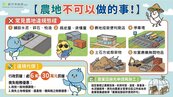 農地不是萬能地！一圖看懂「哪些事不能做」　小心最高罰30萬、稅務優惠掰了