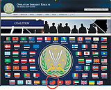 美軍抗IS官網　青天白日滿地紅國旗入列