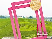 黃紫白綠4色田　花壇景點回春