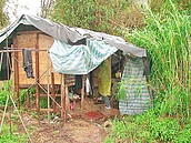 六逃逸外勞　仿家鄉建高腳屋