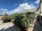屋頂不只裝太陽能！社區「空中農園」成ESG新解方　從綠覆率到鄰里共好