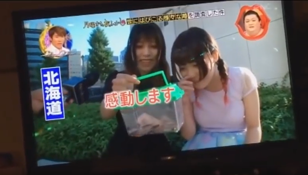 日本節目《月曜から夜ふかし》(圖/截取自Youtube)