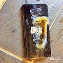新Note7台灣首爆　消基會喊停賣