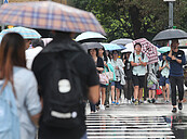 颱風、東北風若共伴　周日小心超大豪雨