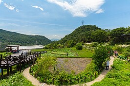 白石湖社區位於內湖碧山巖停車場旁，周邊原本是純樸農家，耕種了草莓等水果，近年來北市府積極規劃，導入生態旅遊概念，成為北市小溪頭。夏天到此除了可享受美景外，美食更是不容錯過。