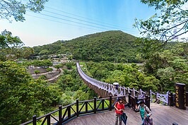 看完了百合花與同心池可別急著離開，在春秋步道旁還有一座白石湖吊橋等著大家去走走。